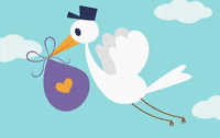 Baby Stork GIF by evite