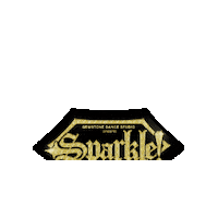 Sparkle Dancestudio Sticker by GEMSTONE DANCE STUDIO