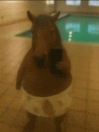 Horse Selfie GIF