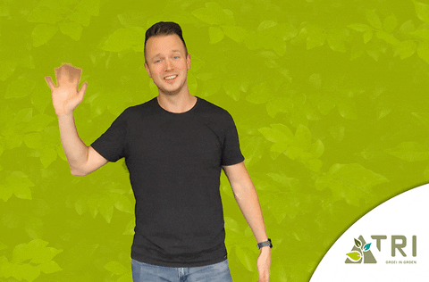 Boom Plant GIF by TRI Groei in Groen