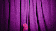 Surprise Flirt GIF by Beauty Queen