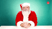 Santa Claus Christmas GIF by BuzzFeed