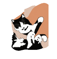yulegrs cat кошка мило милый Sticker