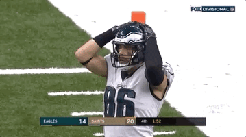 2018 nfl football GIF by NFL