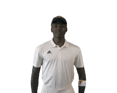 Celebrate South Africa Sticker by Red Bull