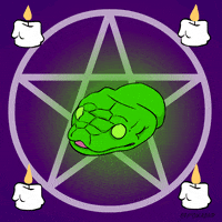 fox artists on tumblr GIF by Animation Domination High-Def