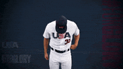Pro GIF by USA Baseball