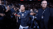 Mixed Martial Arts Sport GIF by UFC