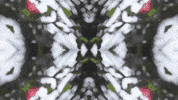 Art Love GIF by jorgemariozuleta