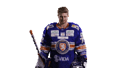 Hockey Point Sticker by Växjö Lakers