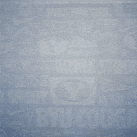 Brigham Young Celebration GIF by BYU Cougars