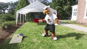 GMercyU griffins gmercyu gwynedd mercy university gwynedd mercy GIF