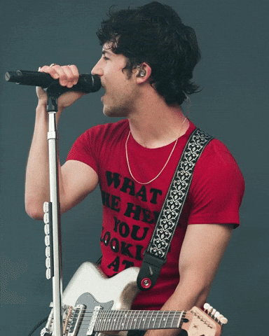 Wallows Gov Ball GIF by Respective