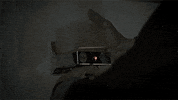 hbo GIF by Getting On