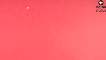 books read GIF by PBS Digital Studios