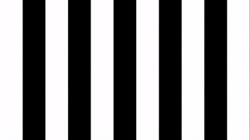 Nelson Sksturm GIF by SK Sturm Graz