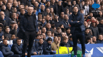 Premier League Celebration GIF by MolaTV