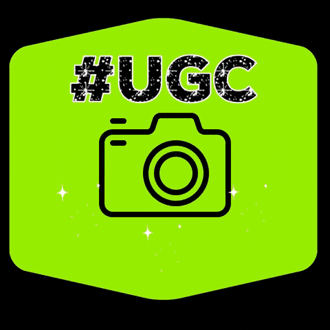 Ugc GIF by Seattle Center