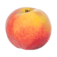 Beer Gib Sticker by Granville Island Brewing