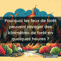 Conditions Météorologiques GIF by ExpliquePourquoi.com