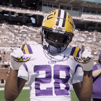 Lsu Football Win GIF by LSU Tigers