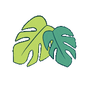 Plant Houseplant Sticker