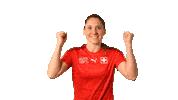 Goal Tor Sticker by Swiss Football Association