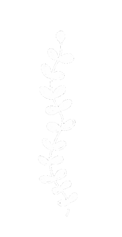 Flower Line Sticker
