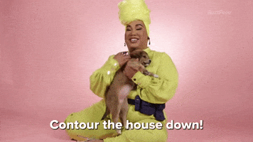 Contour The House Down
