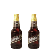 CervezaBohemia cerveza vienna reunion bohemia Sticker