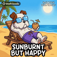 Happy Summer GIF by VeeFriends