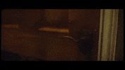 the violence GIF by Asking Alexandria