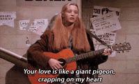 friends tv GIF