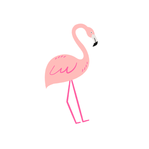 pink flamingo Sticker by neogardencatering