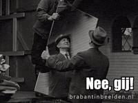 Brabant Spiegel GIF by BrabantinBeelden