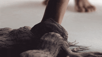 Circle Of Life Dancing GIF by Woodblock