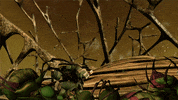 nickelodeon GIF by Teenage Mutant Ninja Turtles
