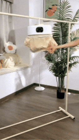 GIF animado