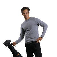 Fotografie Teamnl Sticker by Shapevisions