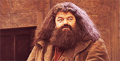 hagrid GIF