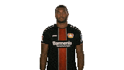 bayer leverkusen yes Sticker by Bundesliga