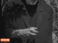 Flower Frankenstein GIF by Turner Classic Movies