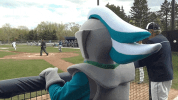collegeoflakecounty school clap education clapping GIF