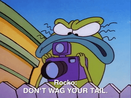 rockos modern life nicksplat GIF