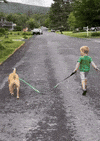 GIF by Martin