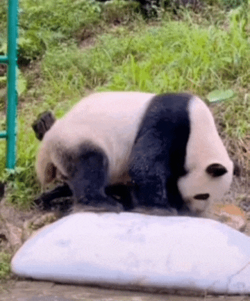 ehdgus1211 giphyupload GIF