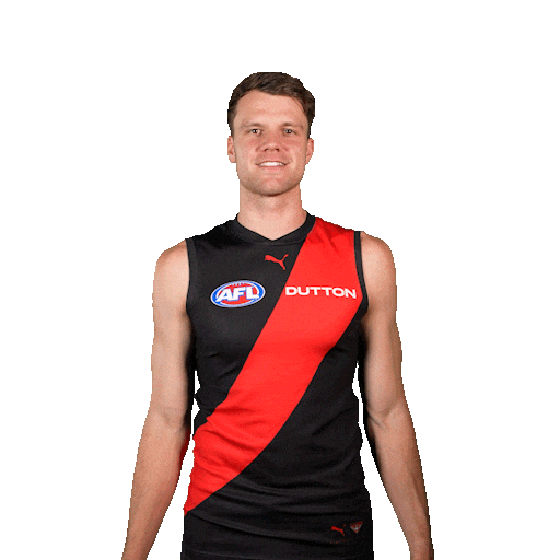 Football Sport Sticker by Essendon FC