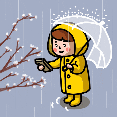 우산 GIF by intoto