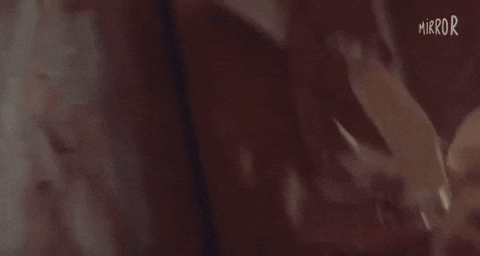 Woman Brazil GIF by Mirror