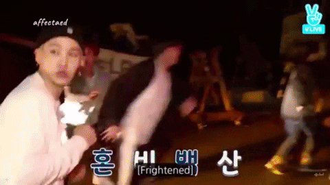 ayaalfarkh  GIF